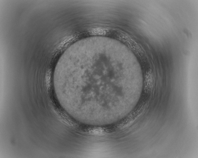 X0000115300600200912141118