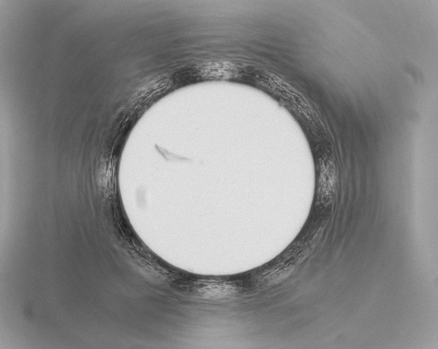 X0000115300601200912141118