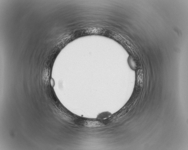 X0000115300605200912141118