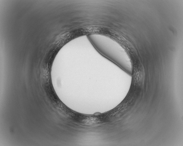 X0000115300609200912141118