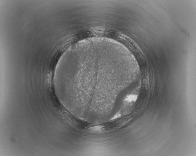 X0000115300610200912141118