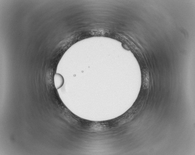 X0000115300616200912141118