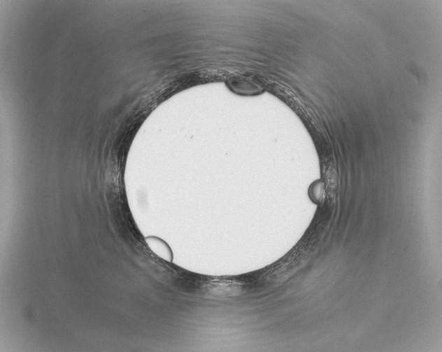 X0000115300617200912141118