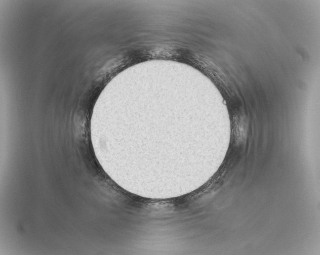 X0000115300619200912141118