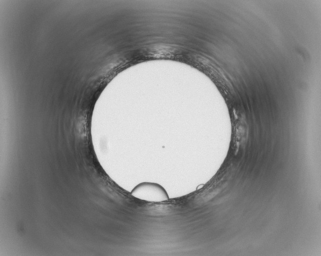 X0000115300620200912141118