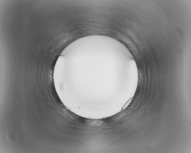 X0000115300621200912141118