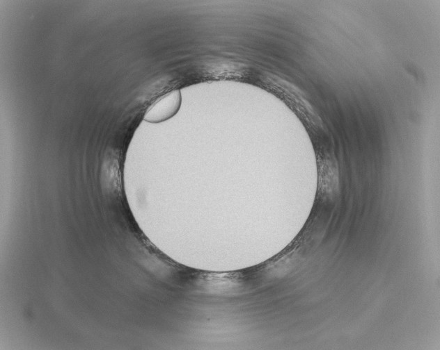 X0000115300622200912141118