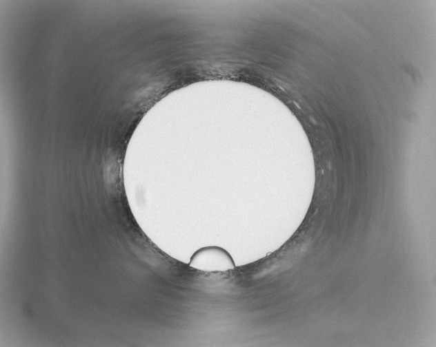 X0000115300624200912141118