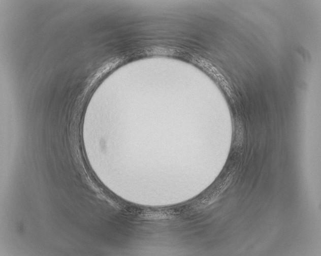 X0000115300625200912141117