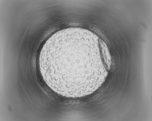 X0000115300626200912141117