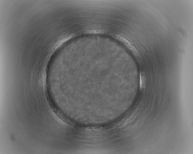 X0000115300627200912141117