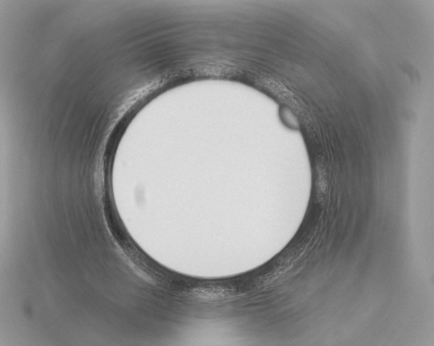 X0000115300630200912141117