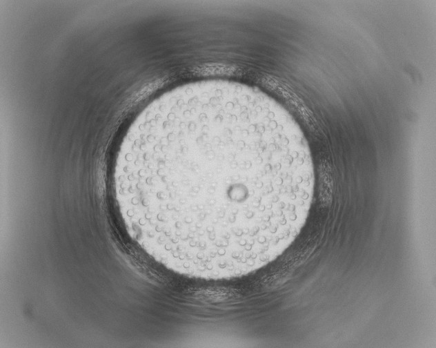 X0000115300631200912141117