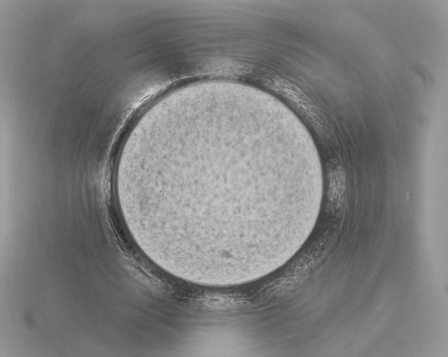 X0000115300632200912141117