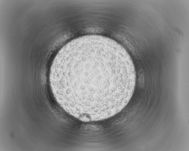 X0000115300635200912141117