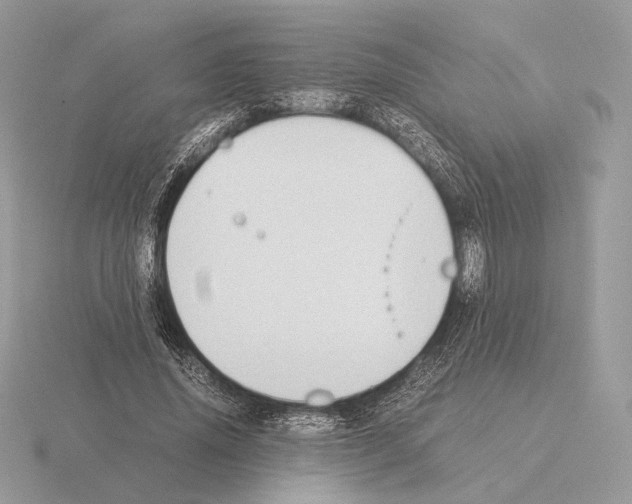 X0000115300636200912141117