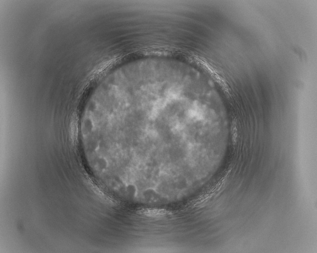 X0000115300637200912141117