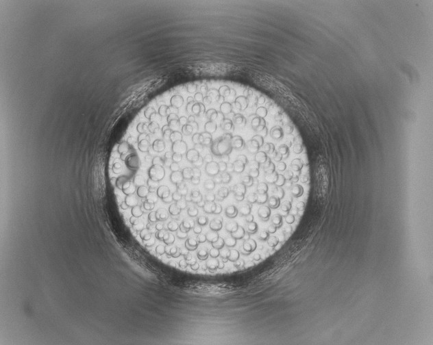 X0000115300638200912141117