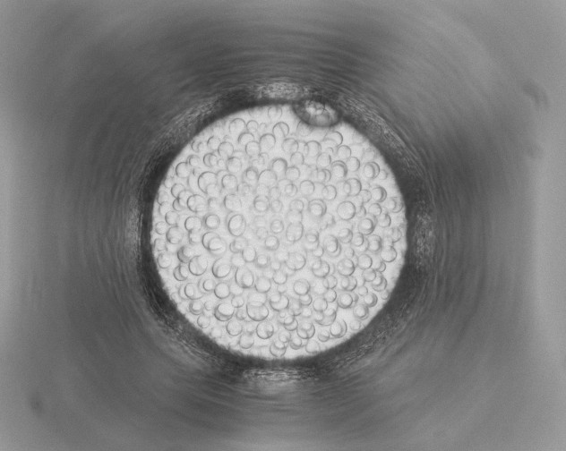 X0000115300639200912141117