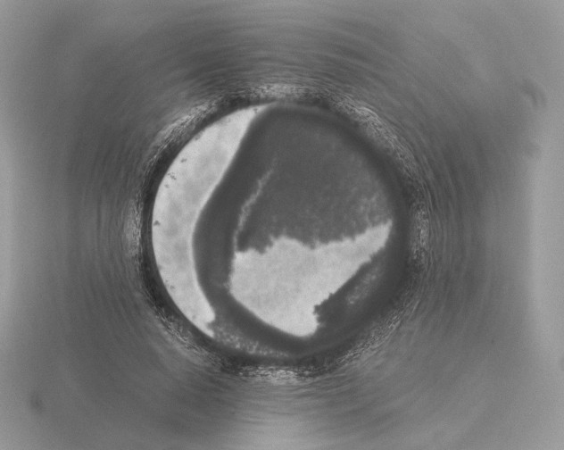 X0000115300640200912141117