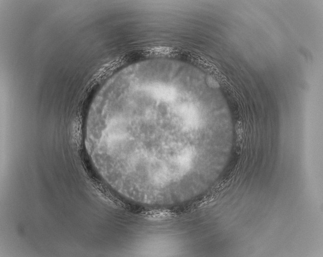 X0000115300642200912141117