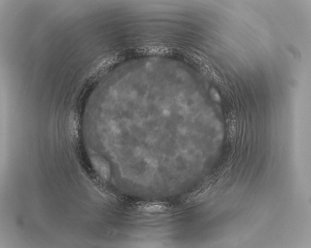 X0000115300643200912141117