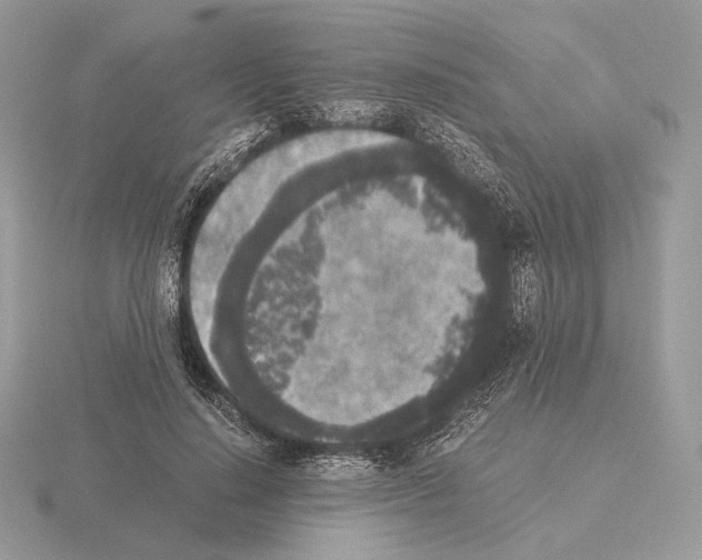 X0000115300644200912141117