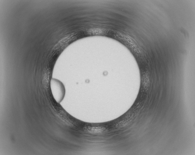 X0000115300645200912141117