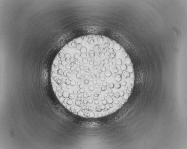 X0000115300646200912141117