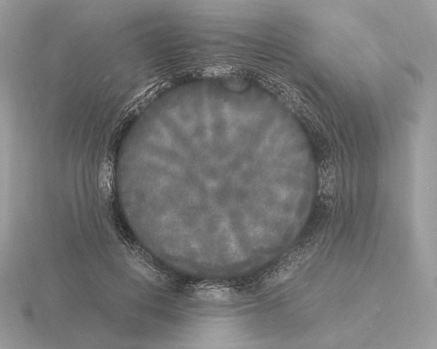 X0000115300648200912141117