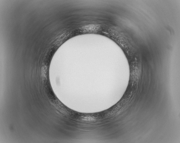 X0000115300649200912141117