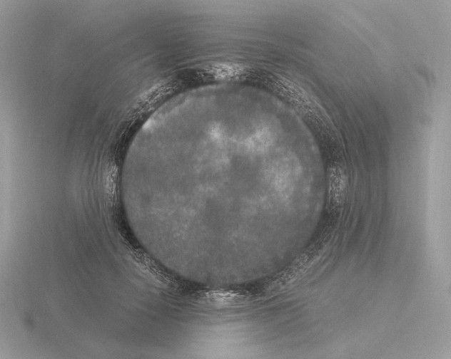 X0000115300650200912141117