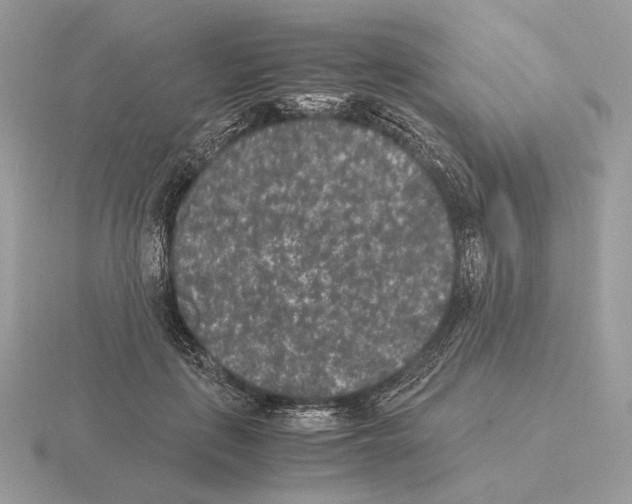 X0000115300651200912141117