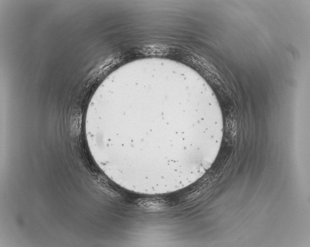 X0000115300652200912141117