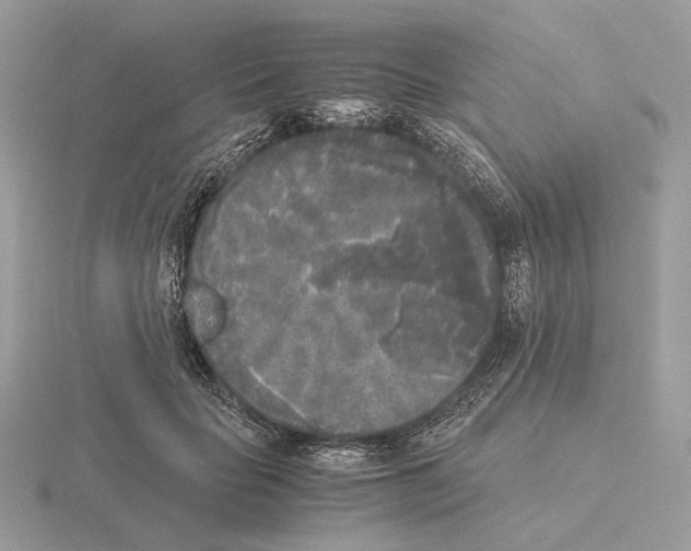 X0000115300653200912141117