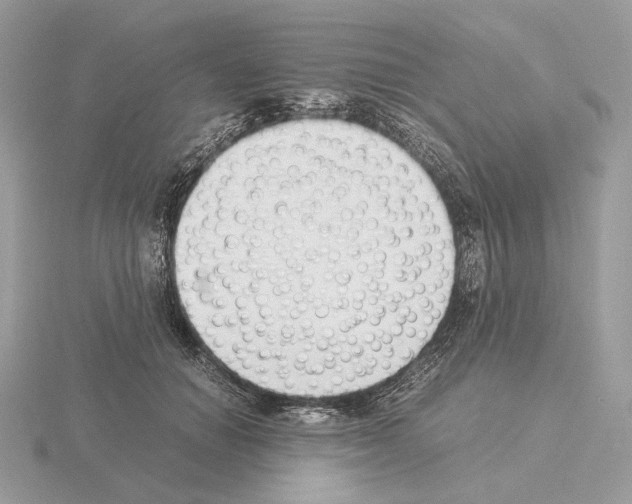 X0000115300654200912141117