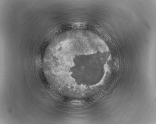 X0000115300659200912141118