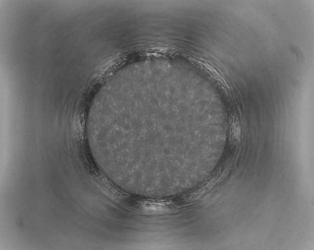 X0000115300661200912141118