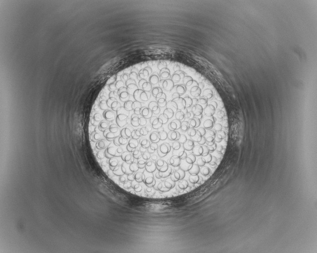 X0000115300662200912141118