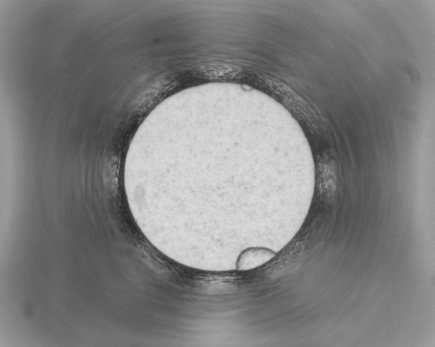 X0000115300664200912141118