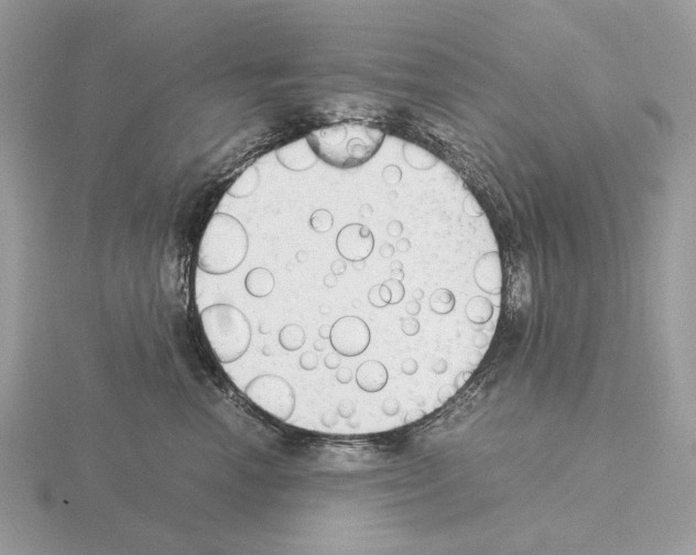 X0000115300666200912141118