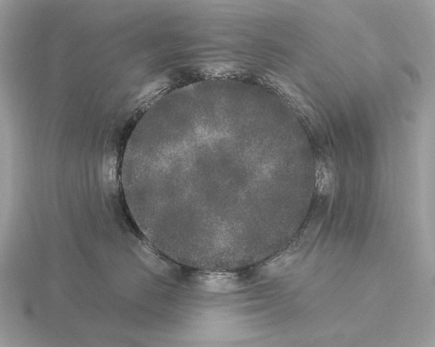 X0000115300670200912141118