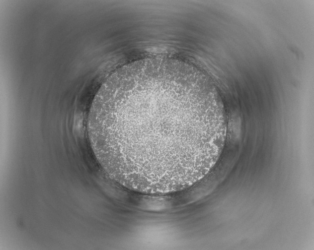 X0000115300671200912141118