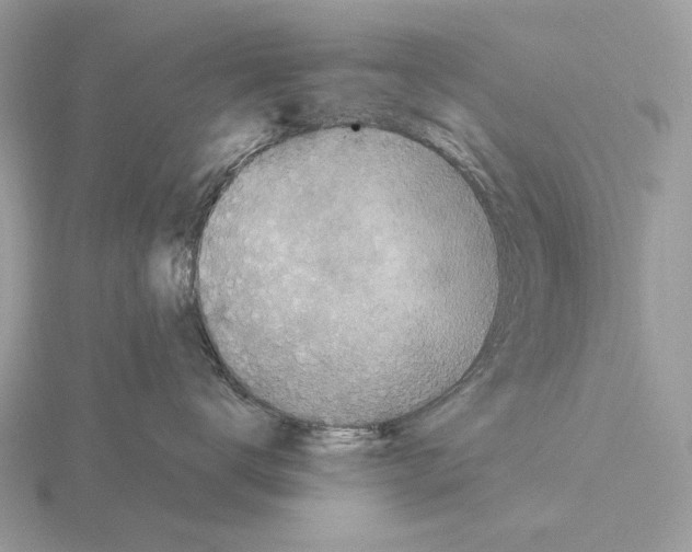 X0000115300672200912141118