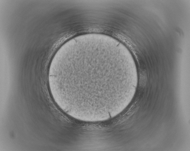 X0000115300673200912141117