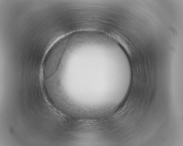 X0000115300676200912141117