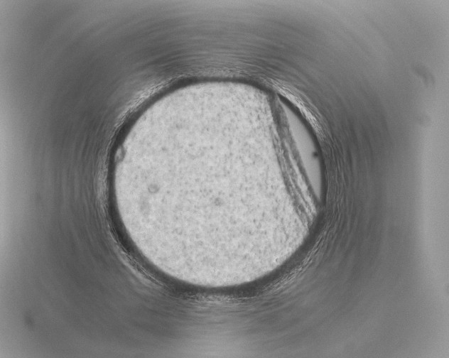 X0000115300677200912141117