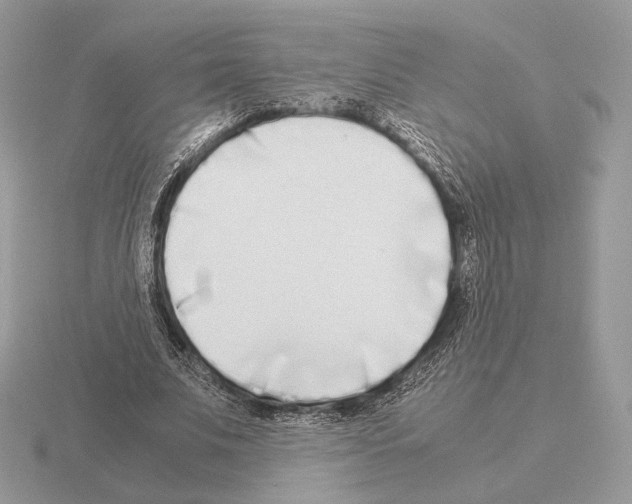 X0000115300679200912141117