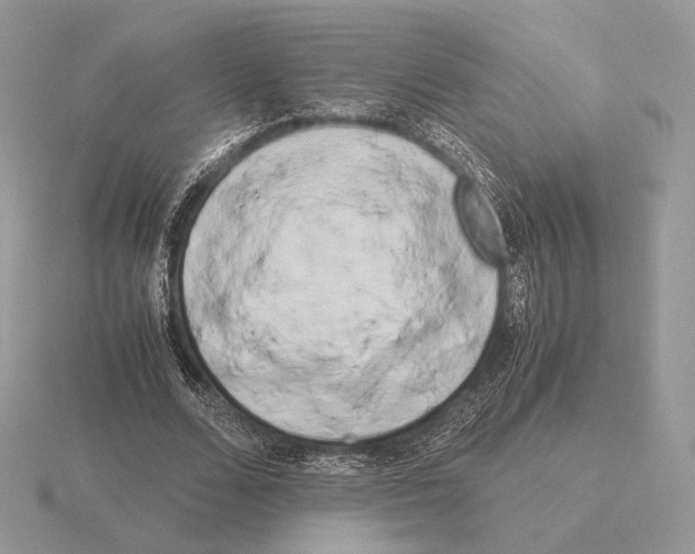 X0000115300680200912141117