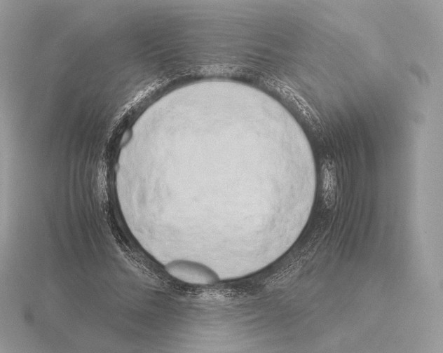 X0000115300684200912141117